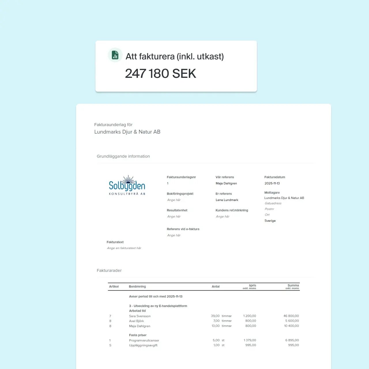 Fakturaprogram och lönesystem för konsulter