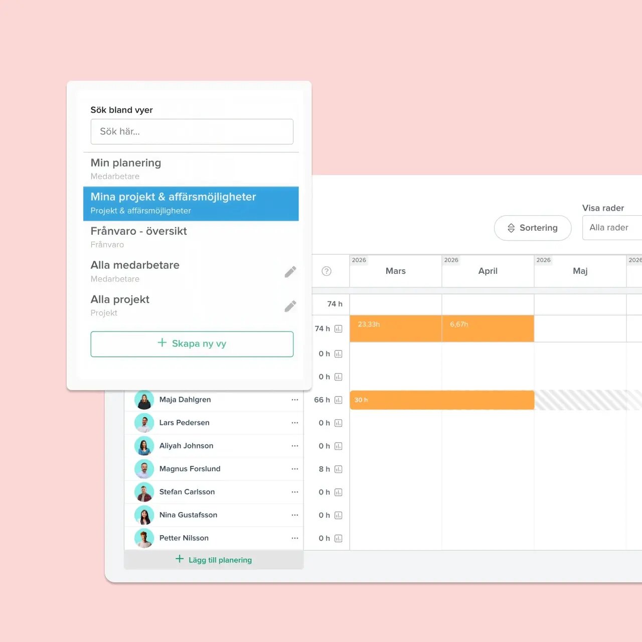 Resursplanering projekt
