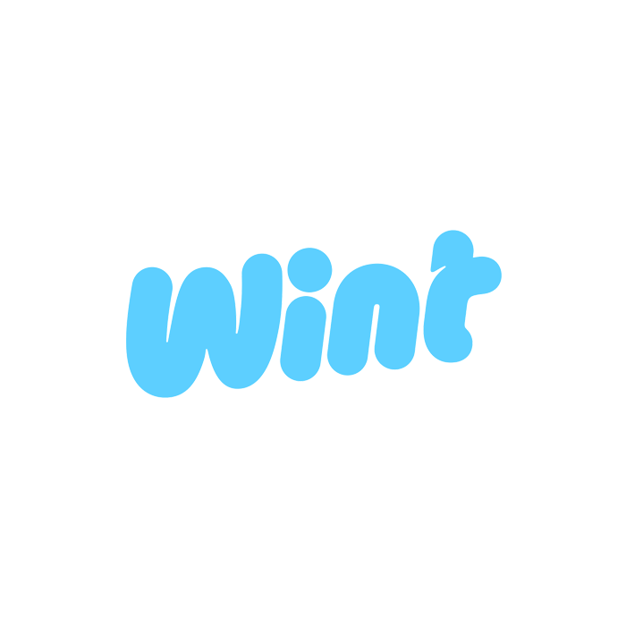 blikk-integrationer-Wint-1
