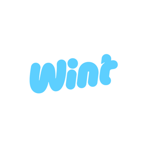 blikk-integrationer-Wint