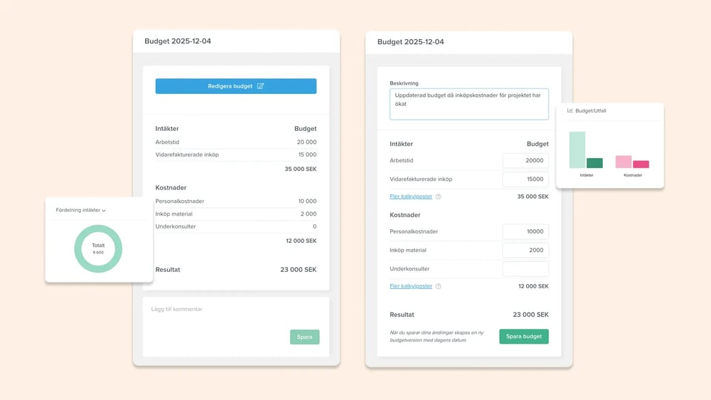 Budgetmall med versionshantering