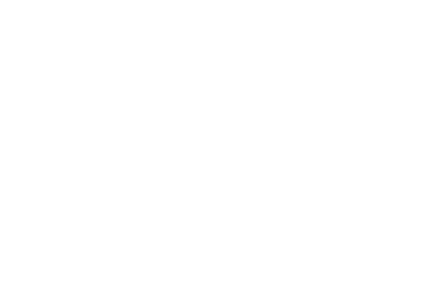 Acecom väljer Blikk