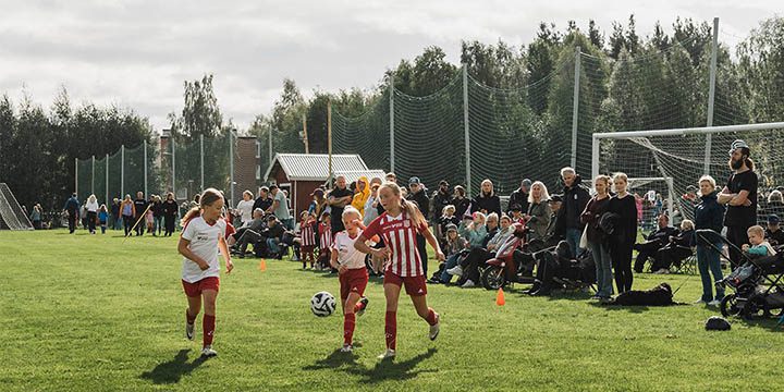 Projektmetoder